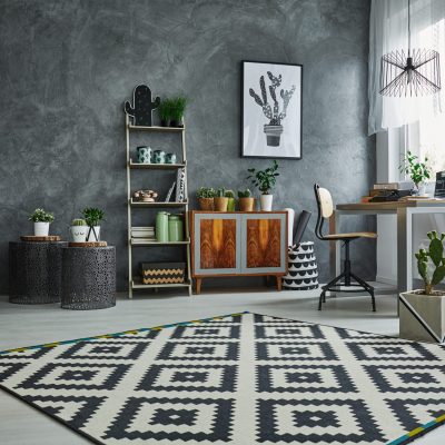 Grey flat with black and white pattern carpet